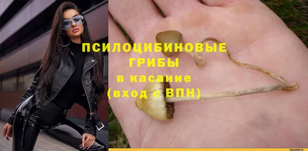 прущая мука Кодинск