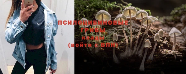 альфа пвп Козловка